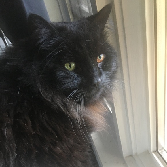 Meet your Posher, Claire - Picture 1 of 1